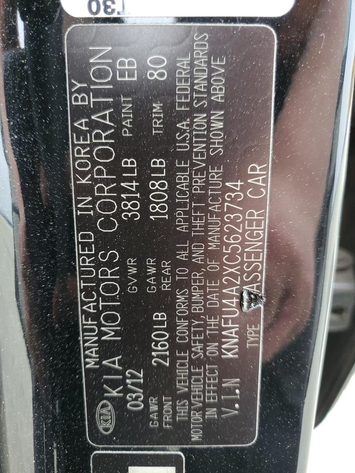 2012 Kia Forte Ex VIN: KNAFU4A2XC5623734 Lot: 59856365