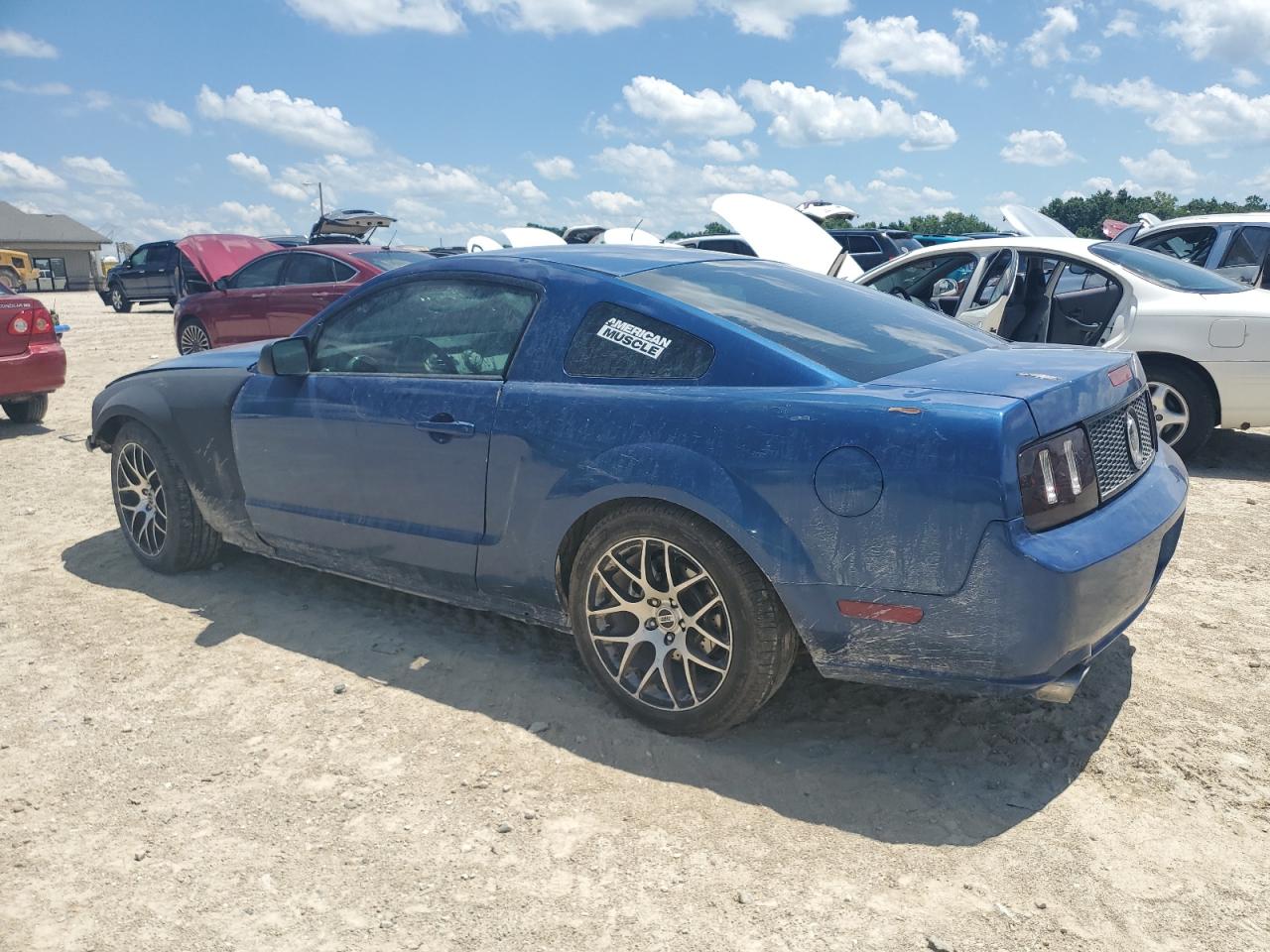 2006 Ford Mustang Gt VIN: 1ZVFT82H065200081 Lot: 62425655