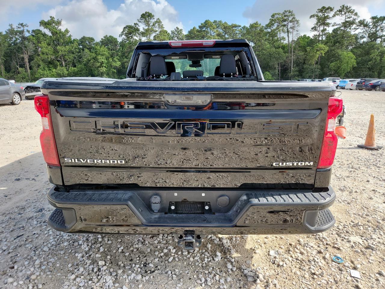 2022 Chevrolet Silverado C1500 Custom VIN: 3GCPABEK3NG610785 Lot: 61357995