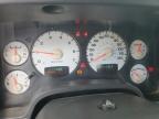 2002 Dodge Ram 1500  na sprzedaż w Opa Locka, FL - Rear End