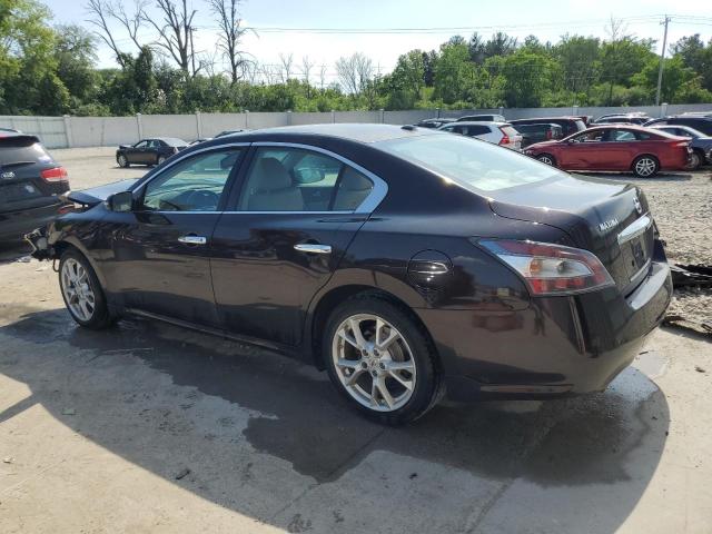  NISSAN MAXIMA 2014 Purple
