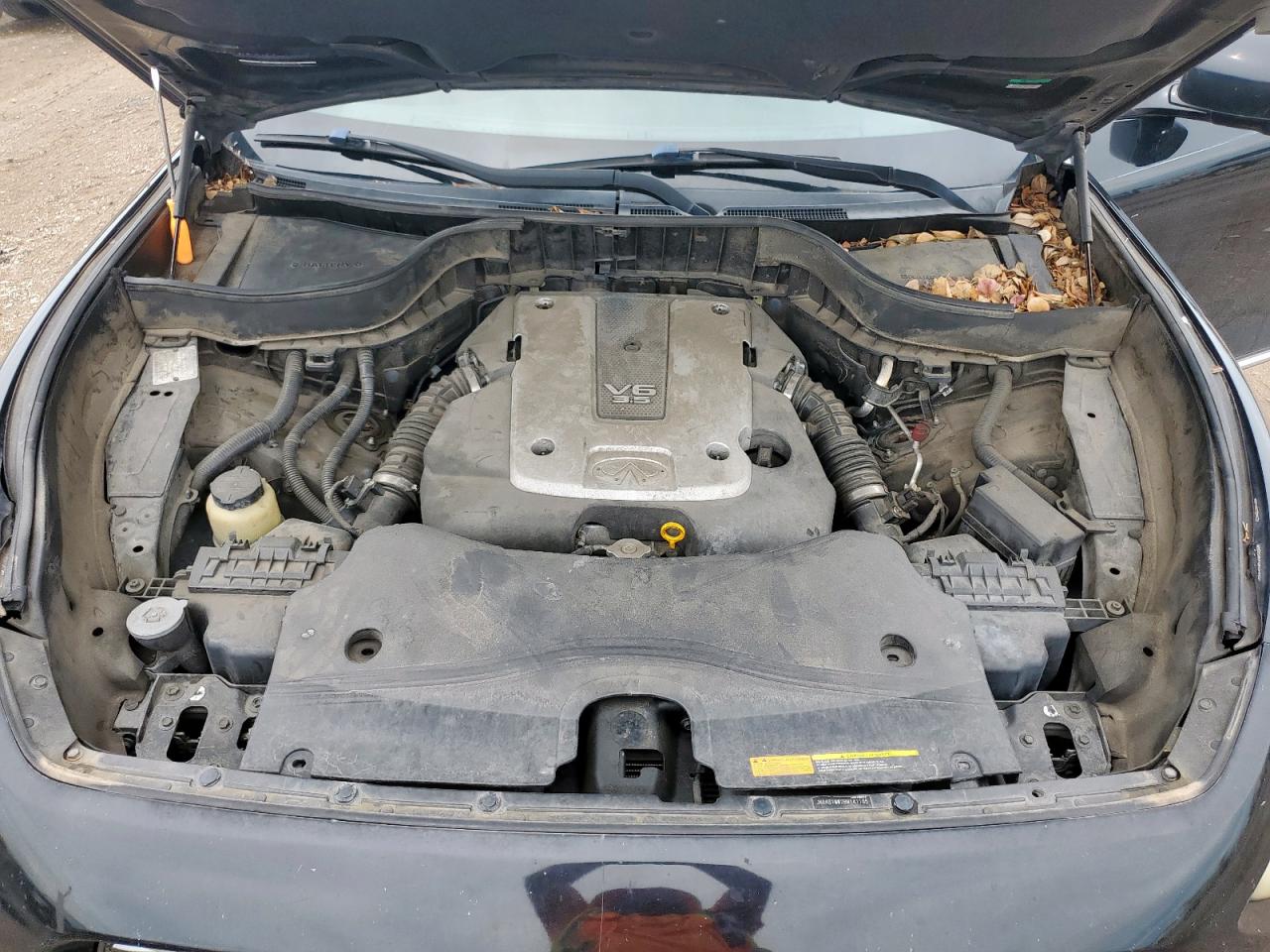 2011 Infiniti Fx35 VIN: JN8AS1MW2BM141185 Lot: 62608405