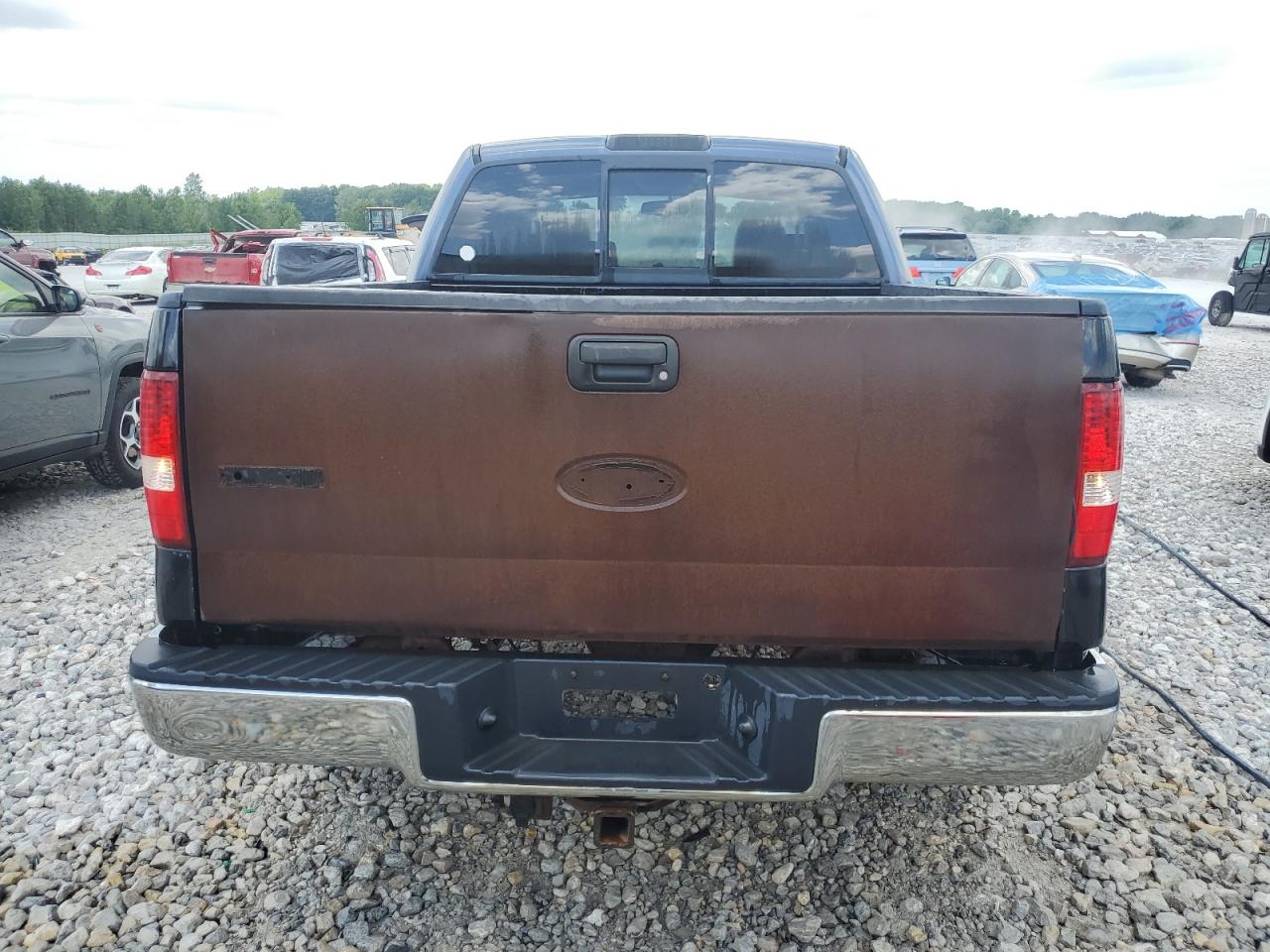 2005 Ford F150 Supercrew VIN: 1FTPW145X5FA98046 Lot: 61680985