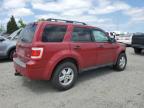 2010 Ford Escape Xlt for Sale in Eugene, OR - Front End