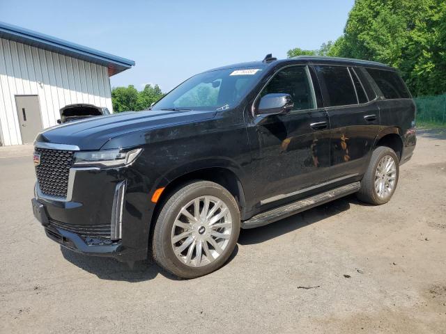  CADILLAC ESCALADE 2023 Черный