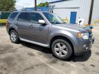 2010 Ford Escape Limited for Sale in Denver, CO - Rear End