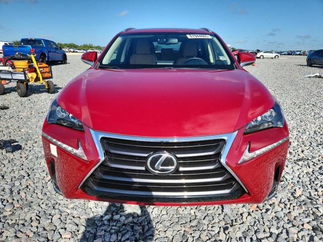  LEXUS NX 2017 Czerwony