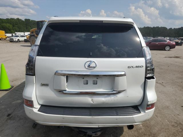 Parquets LEXUS GX 2015 Biały