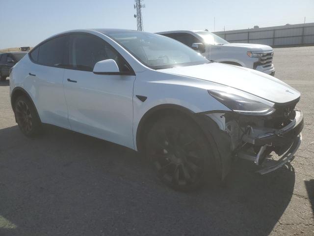  TESLA MODEL Y 2023 Biały
