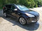 2016 Ford Escape Se   en Venta en North Billerica, MA - Minor Dent/Scratches
