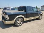 2013 Ram 1500 Longhorn for Sale in Davison, MI - Hail