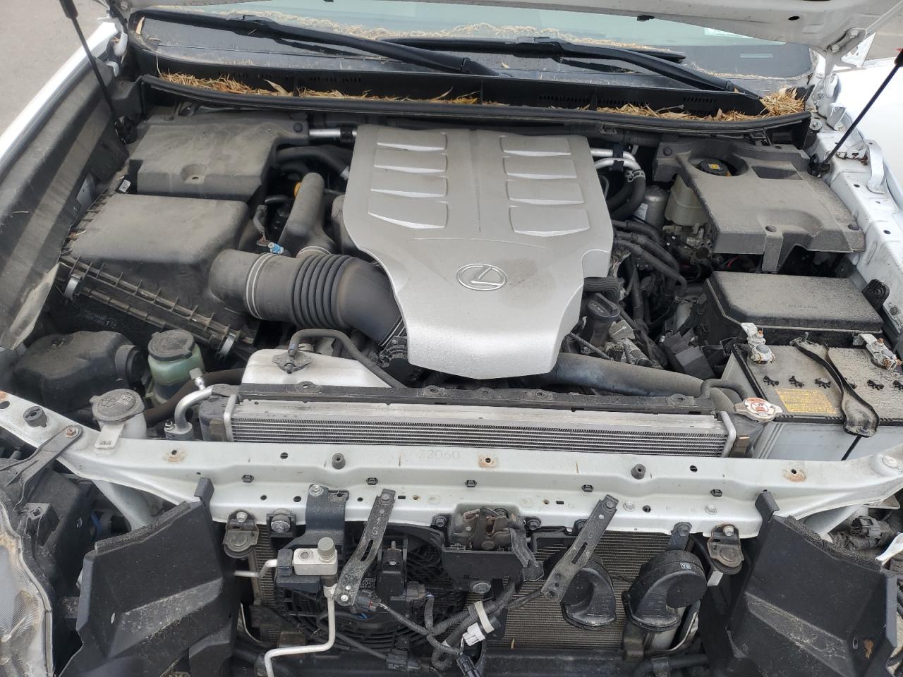 2019 Lexus Gx 460 VIN: JTJBM7FX0K5218811 Lot: 62645395