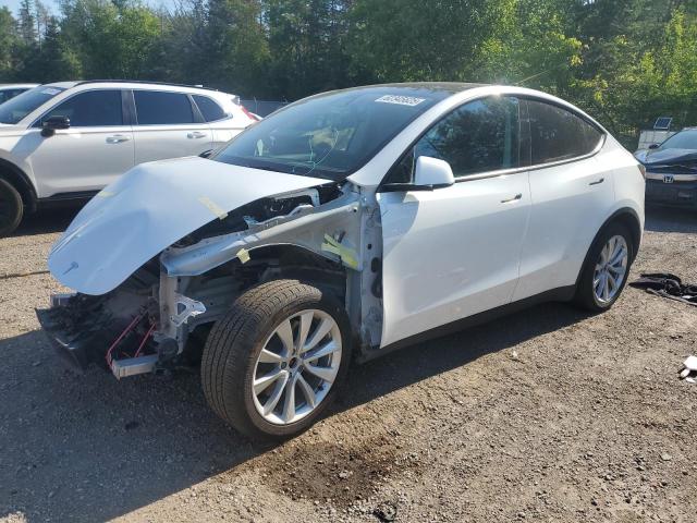 2021 TESLA MODEL Y    à vendre chez Copart ON - COOKSTOWN