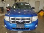 2011 Ford Escape Xlt zu verkaufen in Franklin, WI - Hail