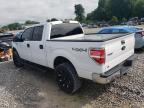 2011 Ford F150 Supercrew продається в Madisonville, TN - Minor Dent/Scratches
