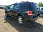 2011 FORD ESCAPE XLT   à vendre chez Copart ON - TORONTO