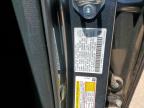 2025 Honda Cr-V Ex იყიდება San Antonio-ში, TX - Hail
