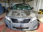 2011 Toyota Camry Base на продаже в Angola, NY - Front End