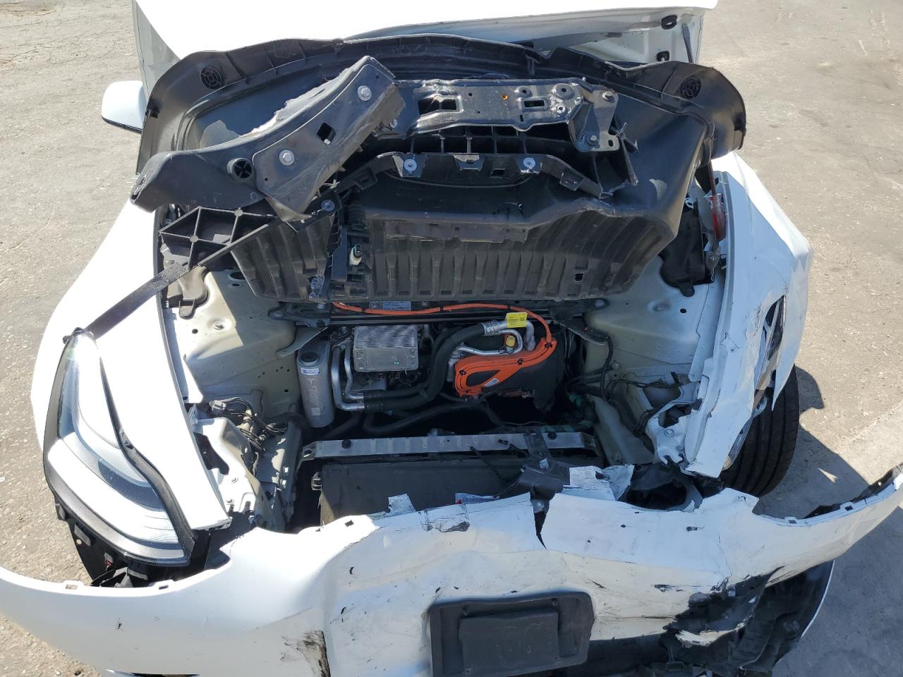 2021 Tesla Model 3 VIN: 5YJ3E1EA3MF013628 Lot: 62420435