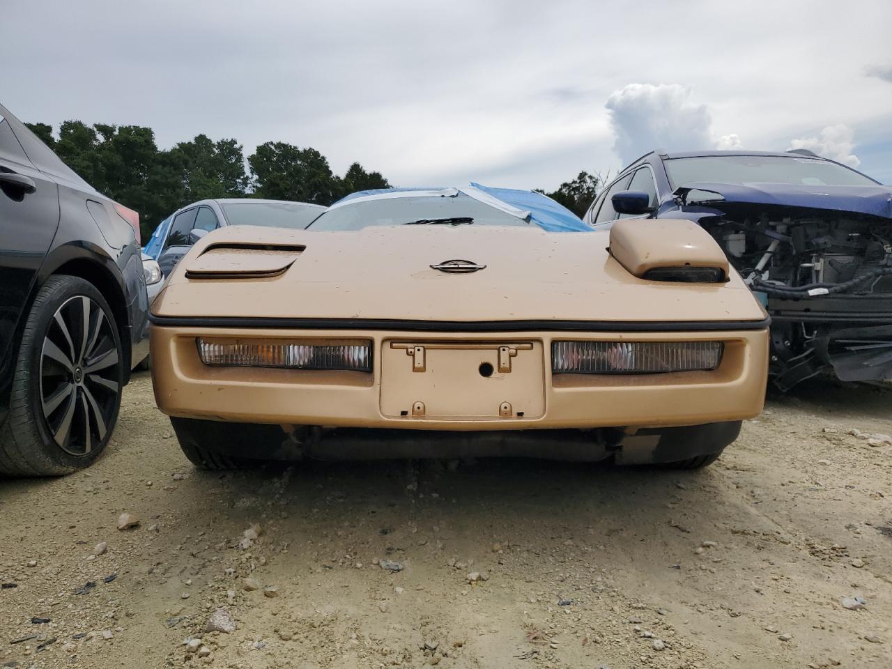1984 Chevrolet Corvette VIN: 1G1AY0787E5102522 Lot: 61176405