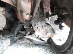 2023 FIAT 500 MHEV for sale at Copart BELFAST