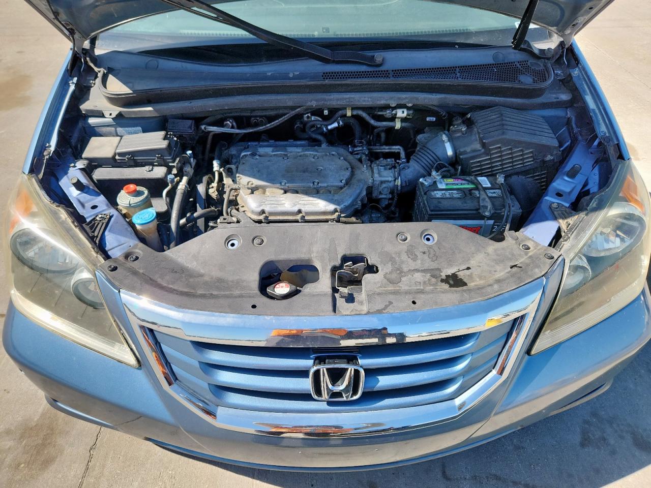 2009 Honda Odyssey Exl VIN: 5FNRL38619B052163 Lot: 71600185