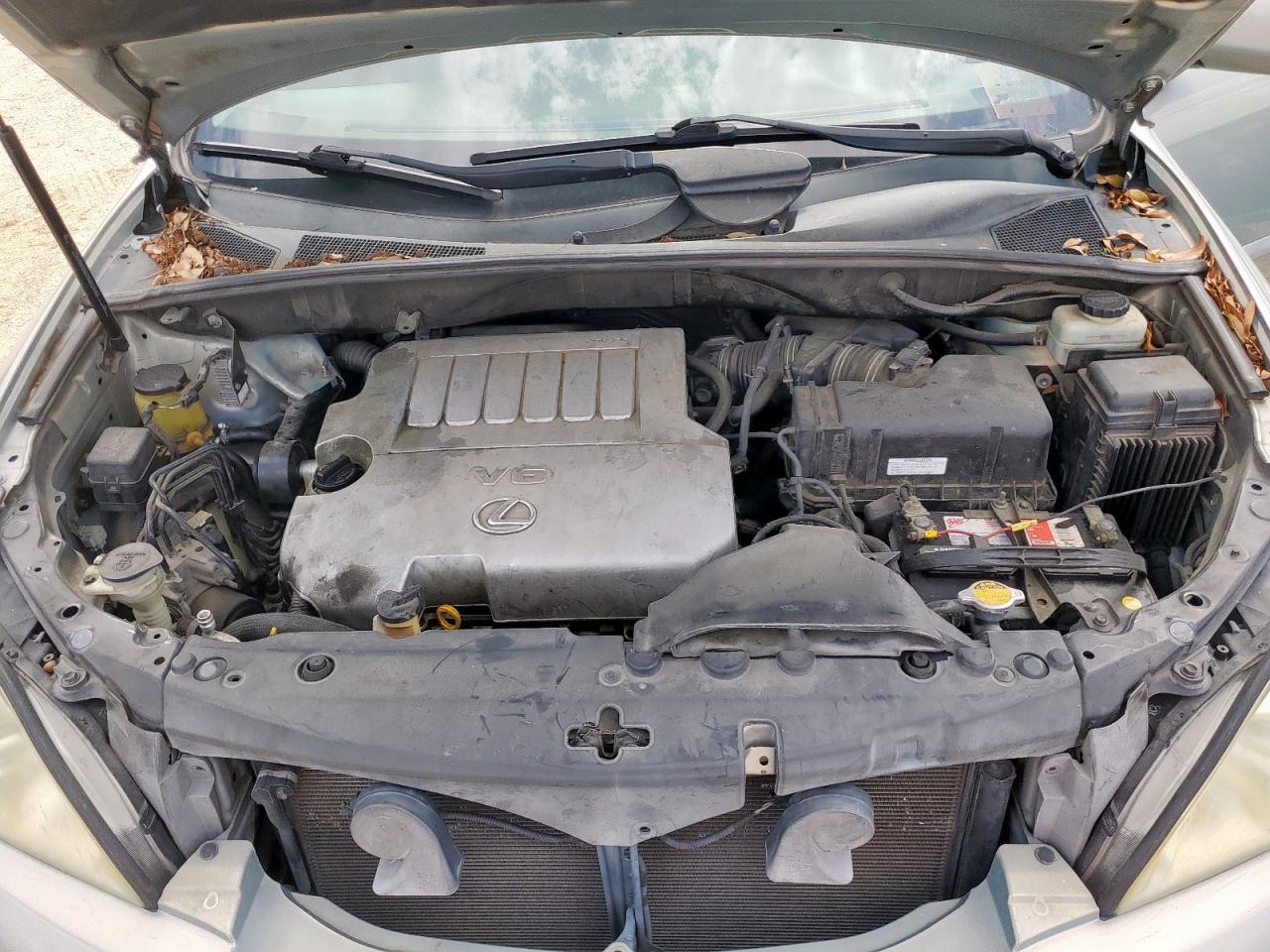 2007 Lexus Rx 350 VIN: 2T2GK31U47C007251 Lot: 60750565