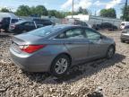 2013 Hyundai Sonata Gls   იყიდება Chalfont-ში, PA - Front End
