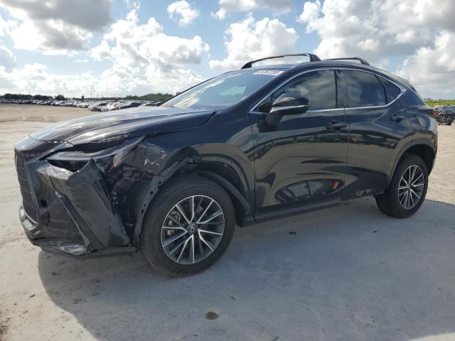 LEXUS NX 350H 2023