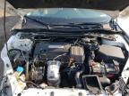 2015 Honda Accord Exl for Sale in Columbia Station, OH - Front End