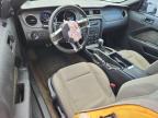 2013 Ford Mustang  for Sale in Arcadia, FL - Front End