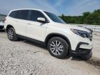 2019 Honda Pilot Exl للبيع في Prairie Grove، AR - Hail