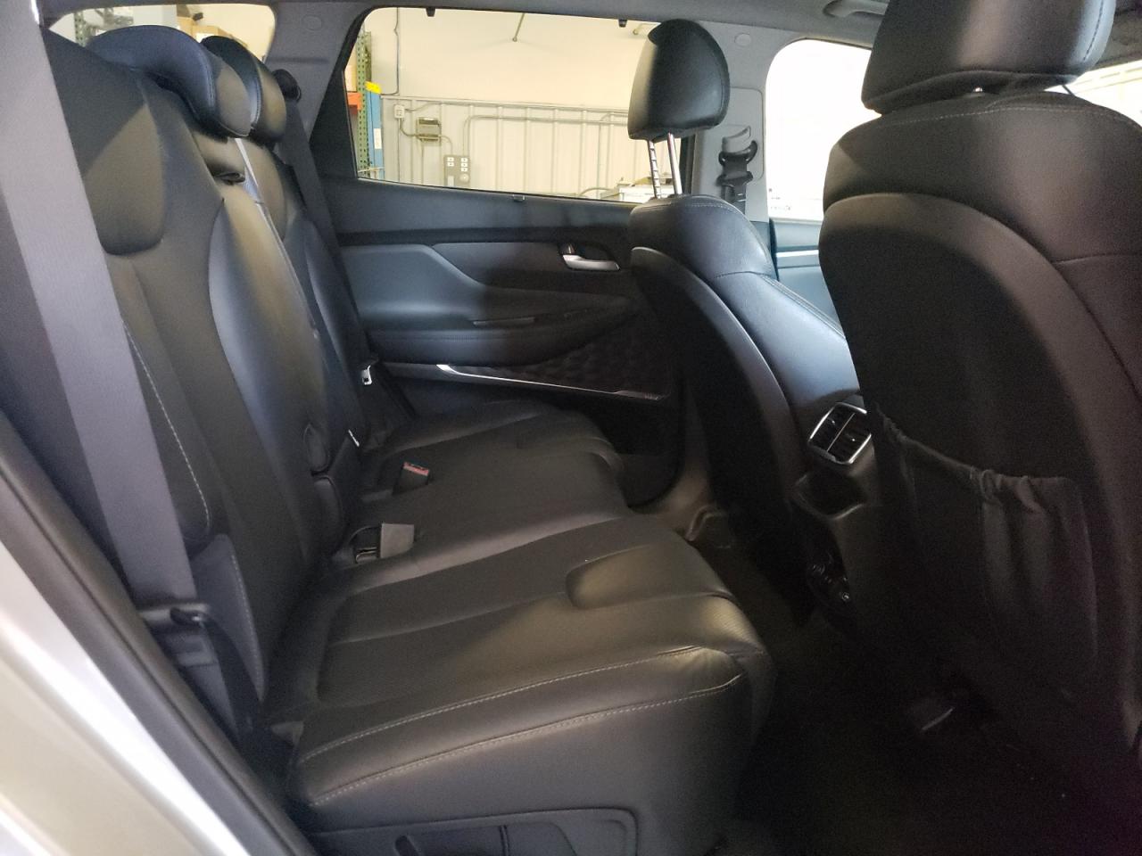 2020 Hyundai Santa Fe Limited VIN: 5NMS5CAD7LH216509 Lot: 61452205