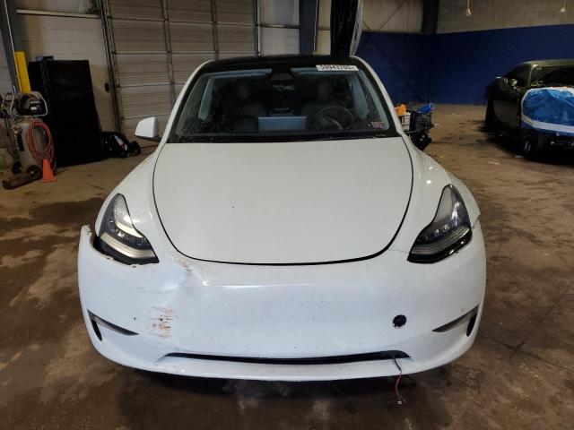 TESLA MODEL Y 2023 Biały