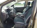 2014 Ford Escape S იყიდება Tifton-ში, GA - Top/Roof