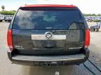 2010 Cadillac Escalade Esv Platinum იყიდება Mercedes-ში, TX - Minor Dent/Scratches