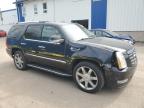 Moncton, NB에서 판매 중인 2010 Cadillac Escalade Luxury - All Over