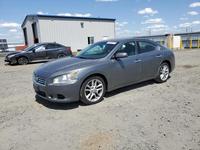 Sedans NISSAN MAXIMA 2014 Gray