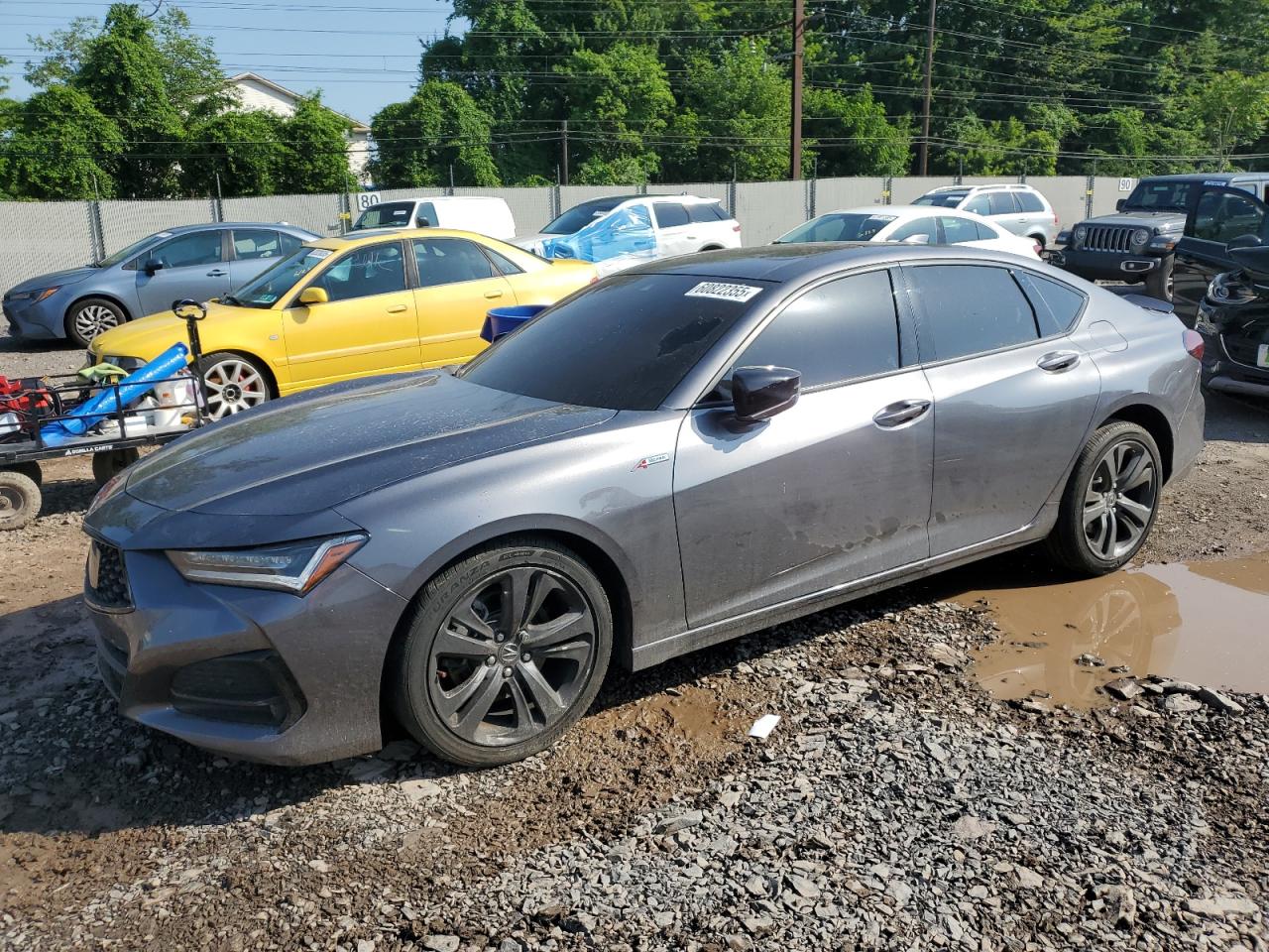 2023 Acura Tlx Tech A zu verkaufen in Chalfont, PA - Vandalism