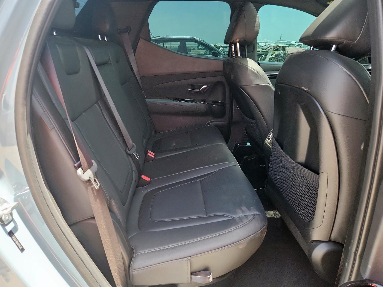 2024 Hyundai Santa Cruz Limited VIN: 5NTJEDDF3RH124678 Lot: 61902045