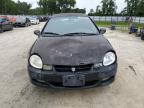 2002 Dodge Neon  for Sale in Ocala, FL - Front End