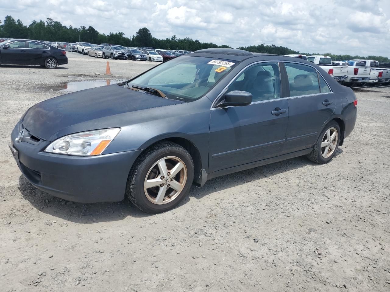 2004 Honda Accord Ex იყიდება Lumberton-ში, NC - Minor Dent/Scratches