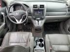 2009 Honda Cr-V Exl for Sale in Brighton, CO - Hail