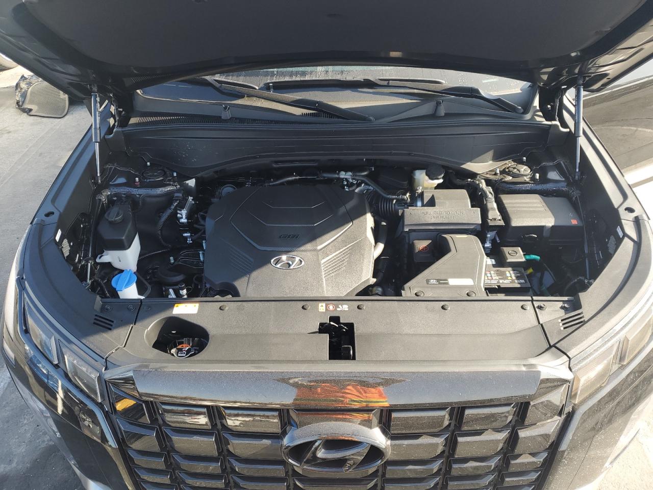 2025 Hyundai Palisade Sel VIN: KM8R24GE8SU942847 Lot: 62177985