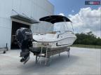 2022 'Other Boat' Vr6 Br(*) for Sale in Riverview, FL - All Over