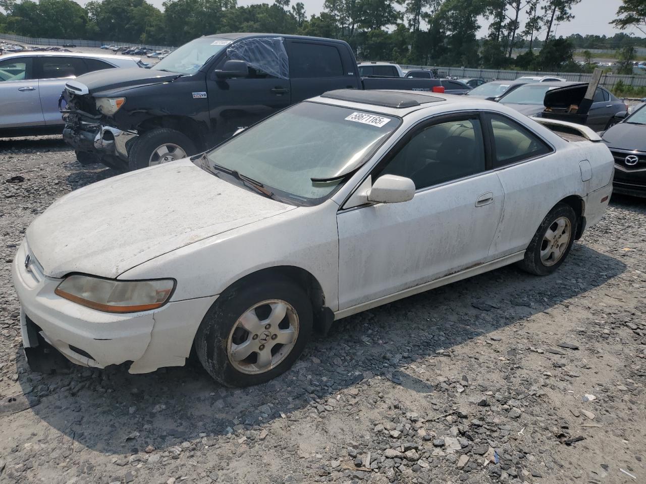 2001 Honda Accord Ex white null gas 1HGCG32521A033078 photo #1
