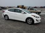 2014 Hyundai Elantra Se zu verkaufen in Earlington, KY - Rear End
