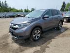 2019 HONDA CR-V LX   à vendre chez Copart ON - TORONTO