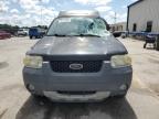 2006 Ford Escape Xlt for Sale in Orlando, FL - Front End