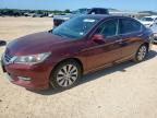 2013 Honda Accord Exl en Venta en San Antonio, TX - Mechanical